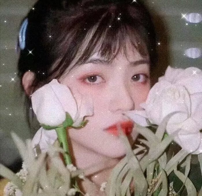 寅次郎的故事6 纯情篇